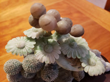 Load image into Gallery viewer, Jade Stone Hand Carved Flowers